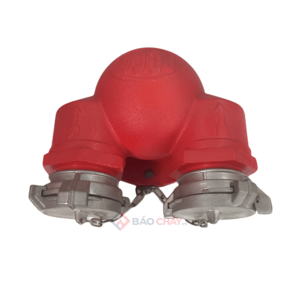 Họng tiếp nước chữa cháy 2 cửa D65/D100