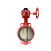 Van bướm tín hiệu DN80