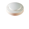 Đầu báo nhiệt gia tăng chuẩn UL Hochiki DSC-EA